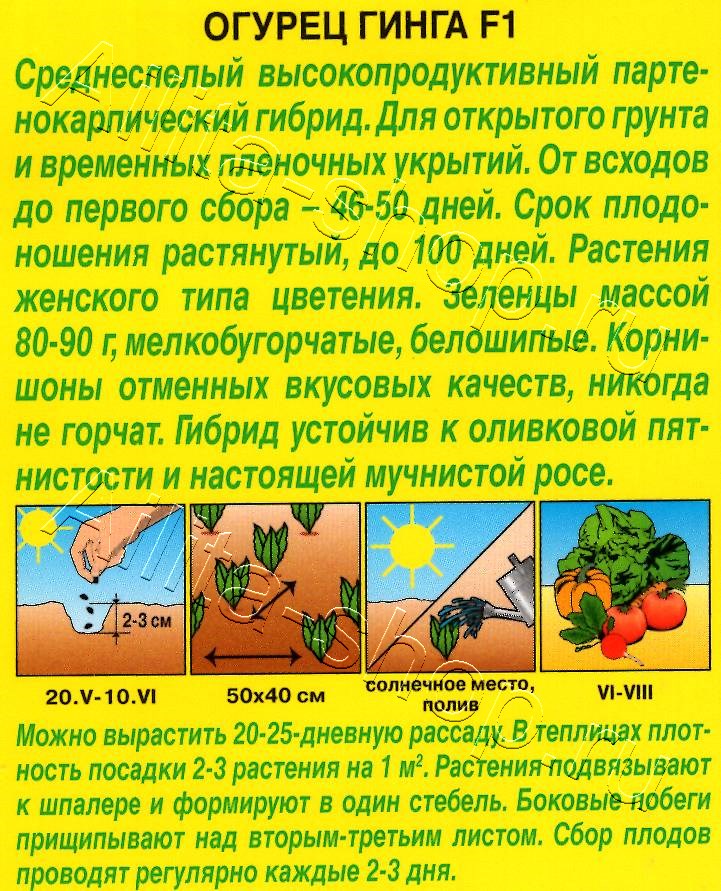 Огурец Гинга F1 10шт