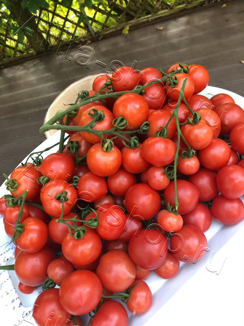 Томат Сладкие сердечки F1 15шт