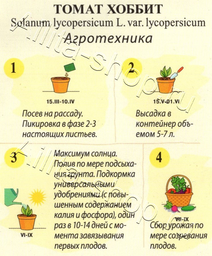 Томат Хоббит 10шт