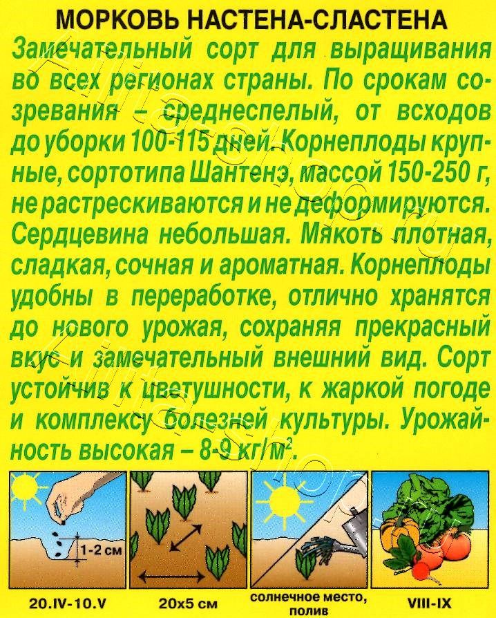 Морковь Настена-сластена 2г