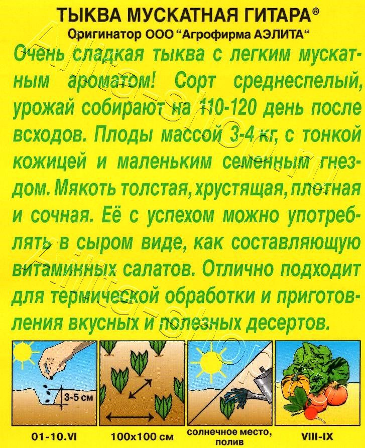 Тыква мускатная Гитара 1г