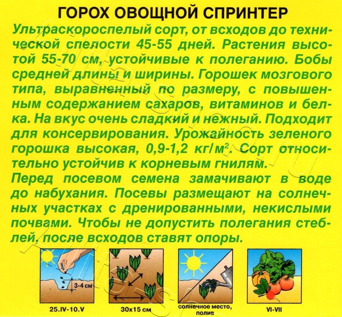 Горох овощной Спринтер 25г