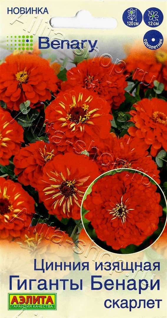 Цинния Гиганты Бенари скарлет 7шт