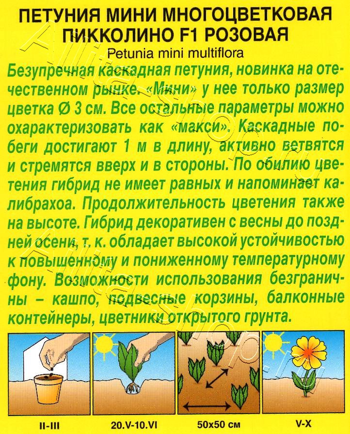 Петуния мини Пикколино F1 розовая 5шт