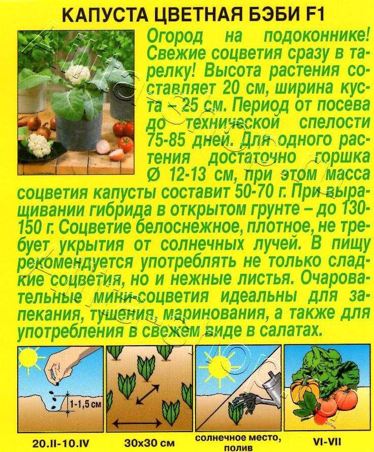 Капуста цветная Бэби F1 5шт