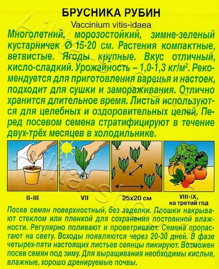 Брусника Рубин 0,01г