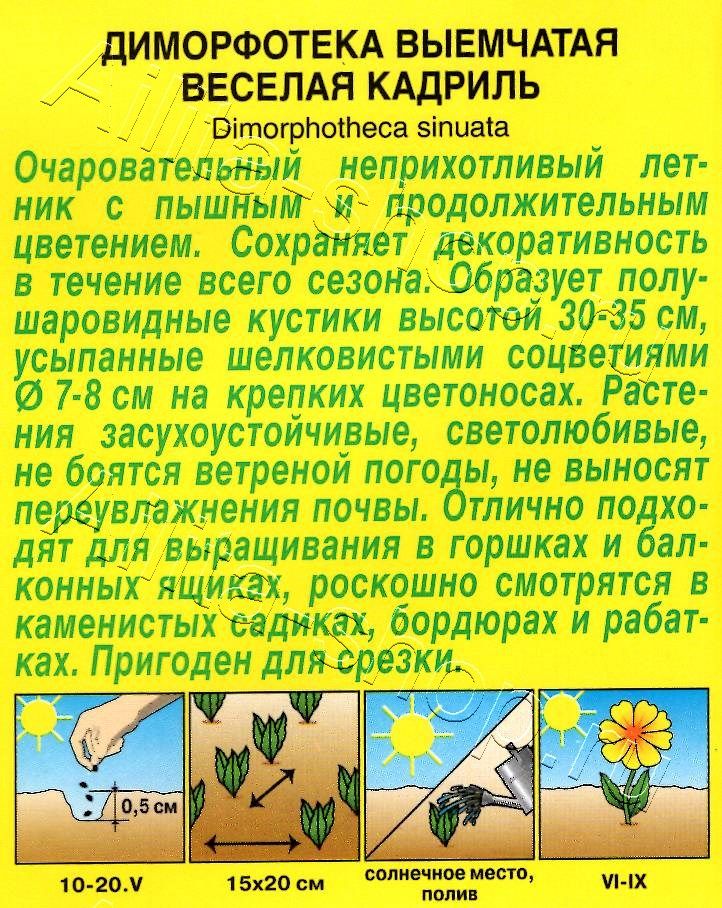 Диморфотека Веселая кадриль 0,2г