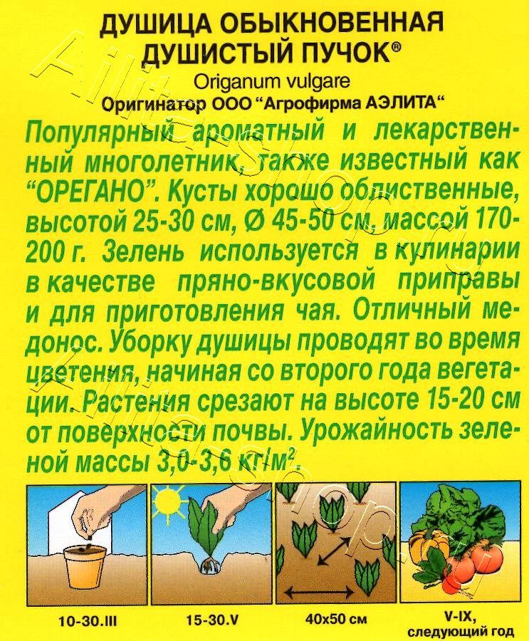 Душица обыкновенная Душистый пучок 0,05г