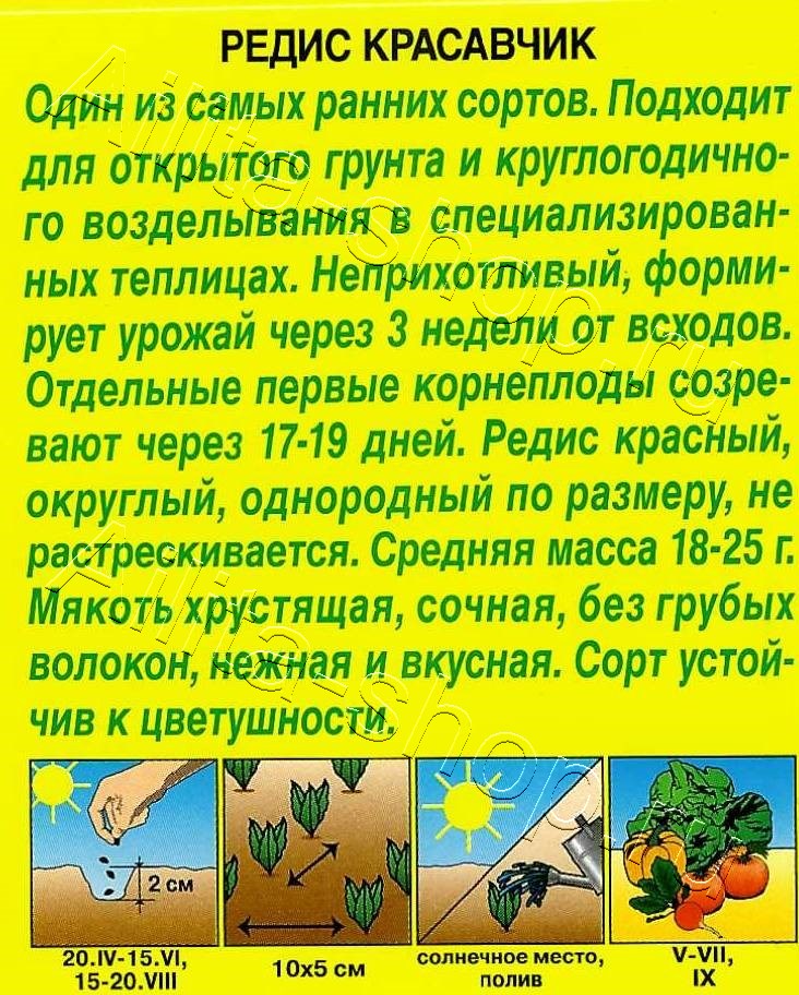 Редис Красавчик 3г