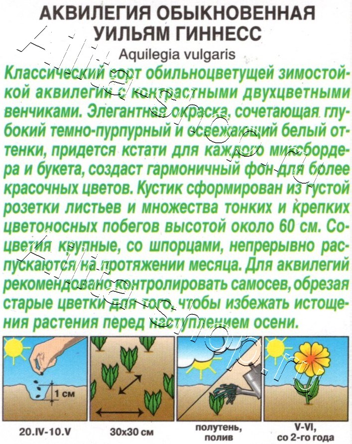 Аквилегия Уильям Гиннесс 0,05г