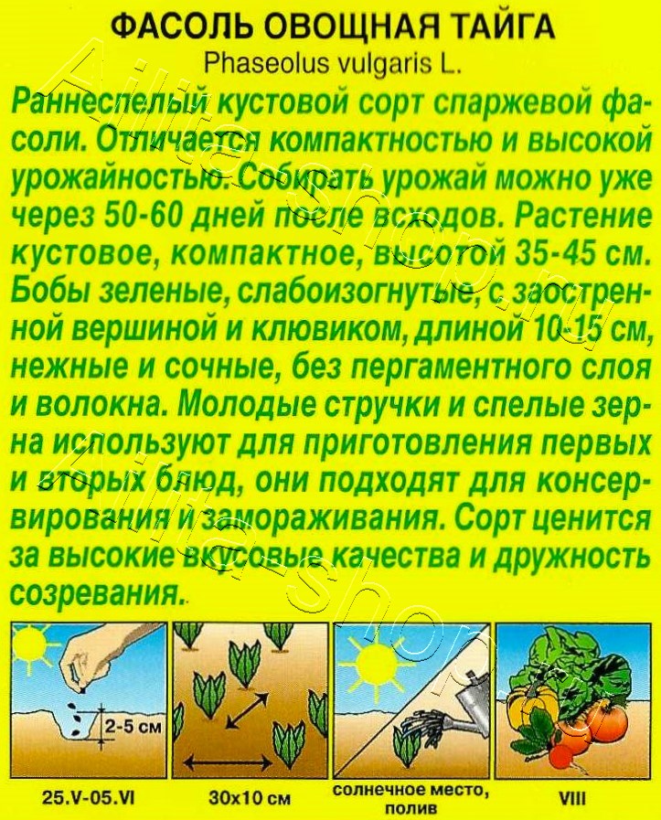 Фасоль овощная Тайга 5г