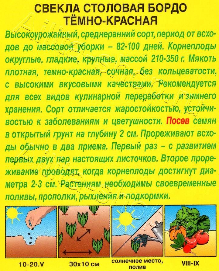 Свекла столовая Бордо темно-красная 3г