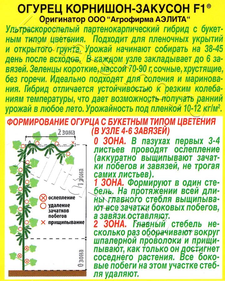 Огурец Корнишон-закусон F1 10шт