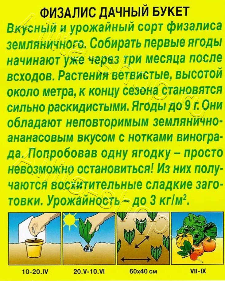 Физалис Дачный букет 0,2г