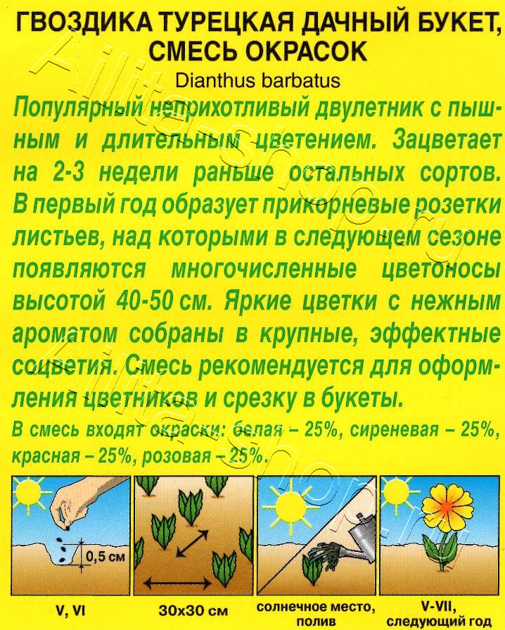 Гвоздика Дачный букет, смесь сортов 0,1г