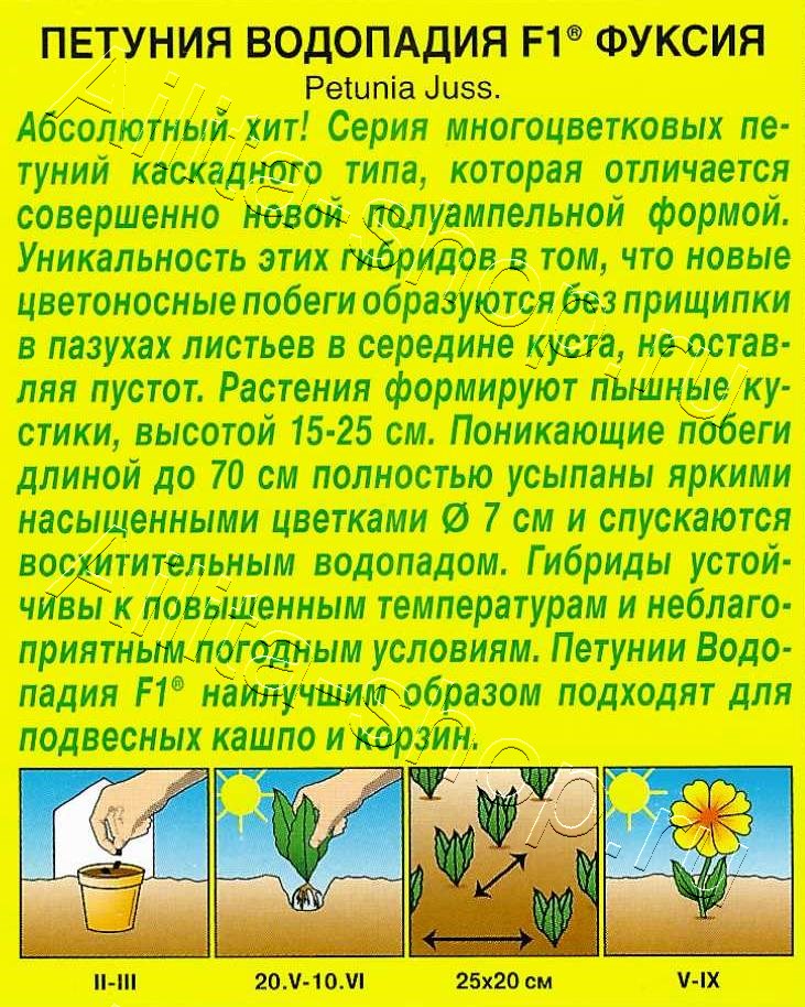 Петуния ВОДОПАДИЯ F1 фуксия 5шт