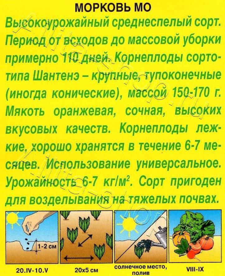 Морковь Мо 2г