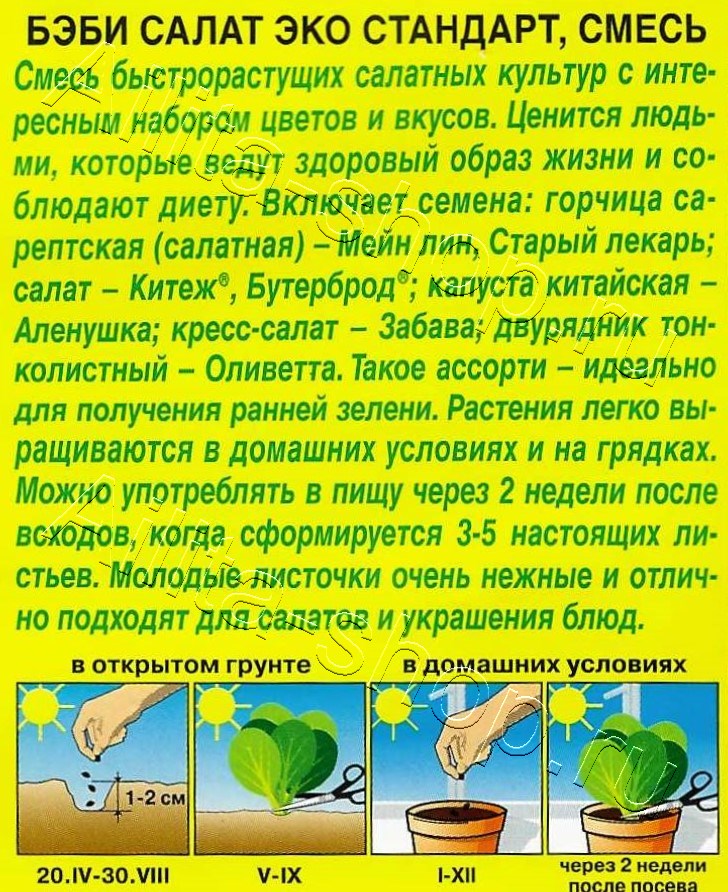 Бэби салат Эко стандарт, смесь 0,5г