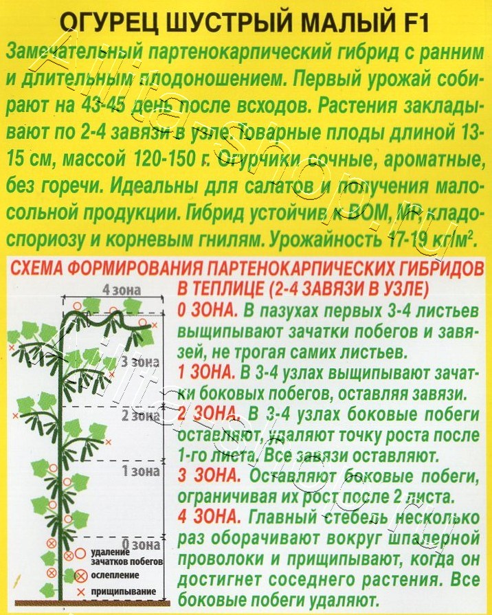 Огурец Шустрый малый F1 10шт