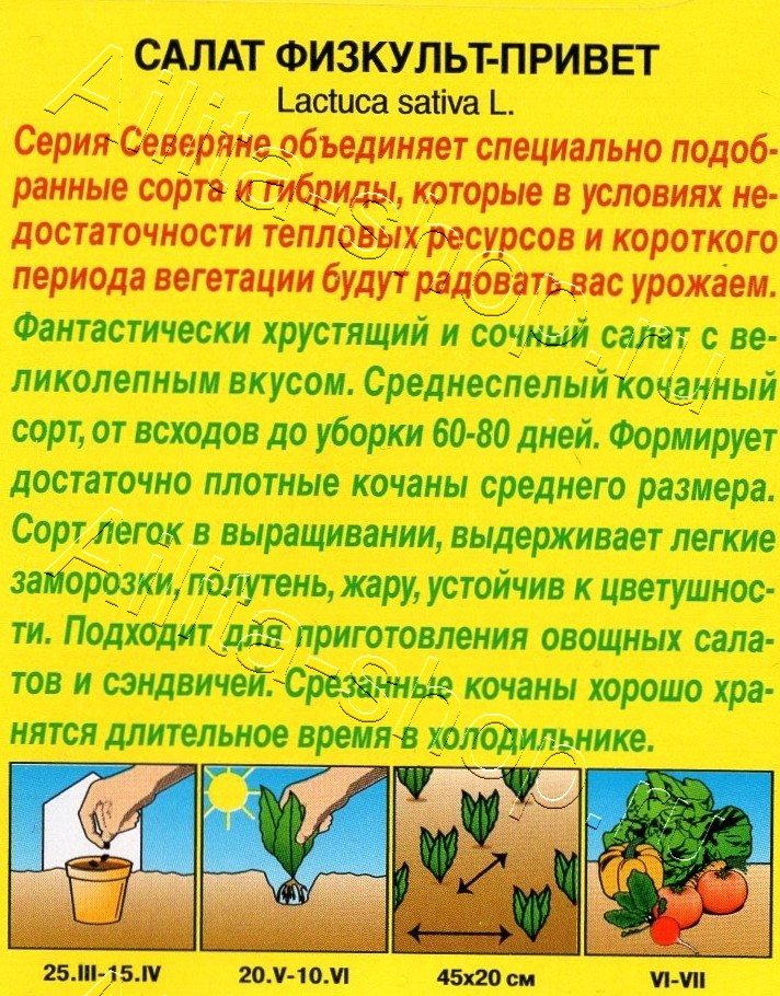 Салат Физкульт-привет 0,5г