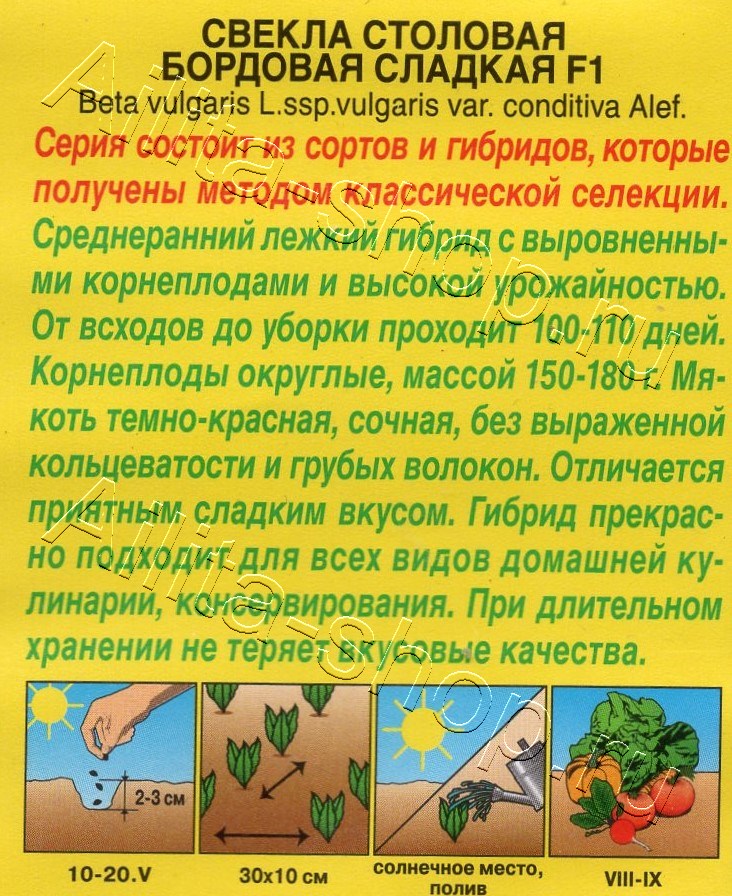 Свекла столовая Бордовая сладкая F1 1г