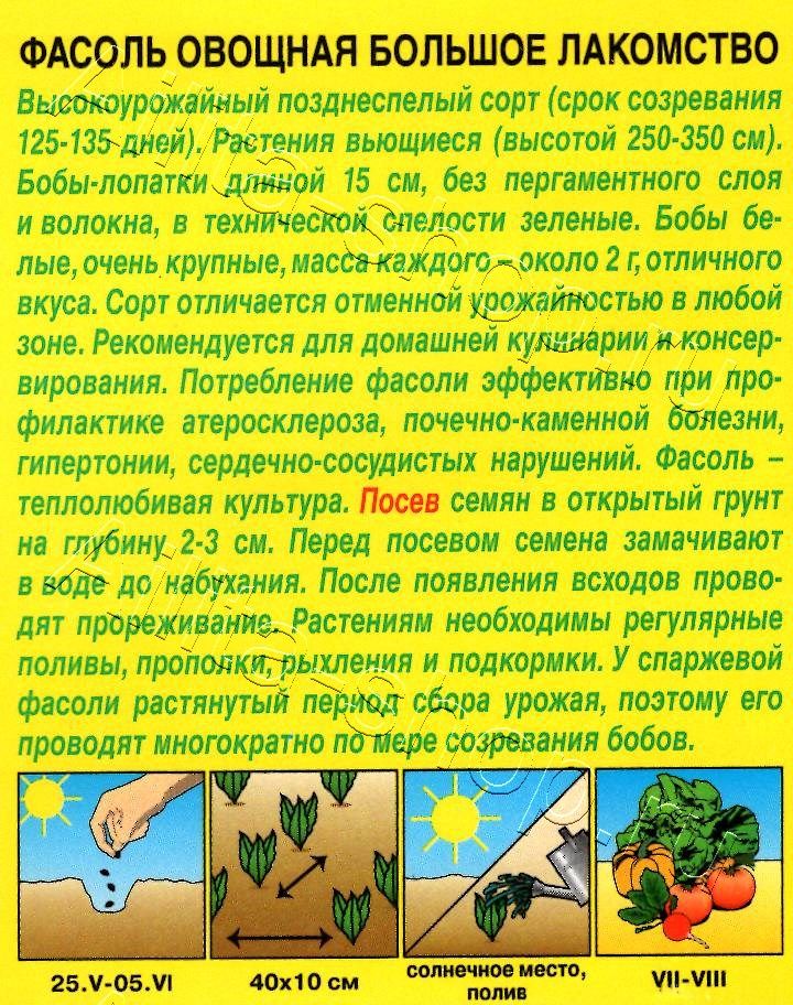 Фасоль овощная Большое лакомство 5г
