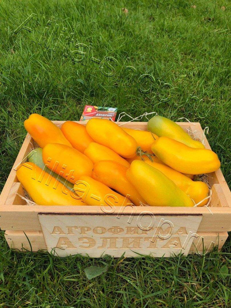 Томат Бананчик 20шт