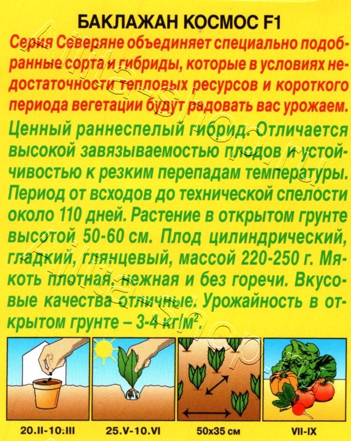 Баклажан Космос F1 0,1г