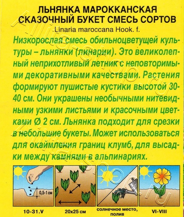 Льнянка Сказочный букет, смесь сортов 0,1г