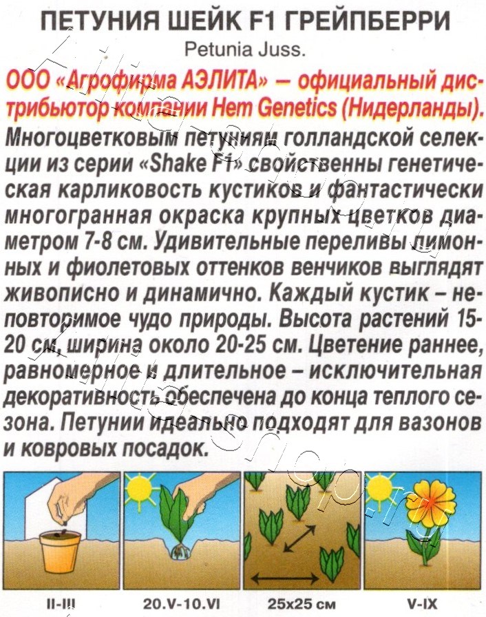 Петуния Шейк F1 грейпберри 5шт