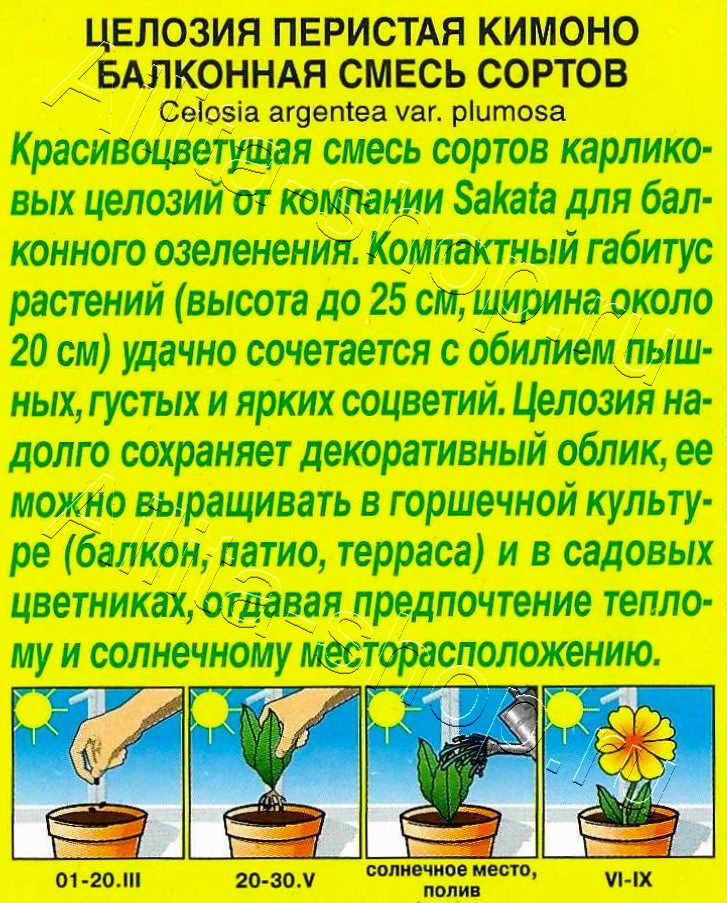 Целозия перистая Кимоно балконная, смесь сортов 10шт