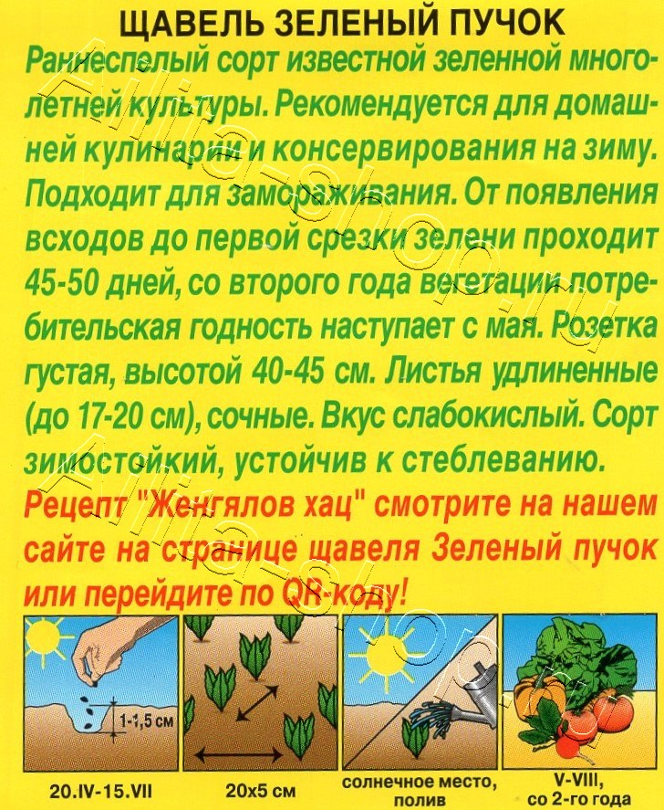 Щавель Зеленый пучок 0,5г