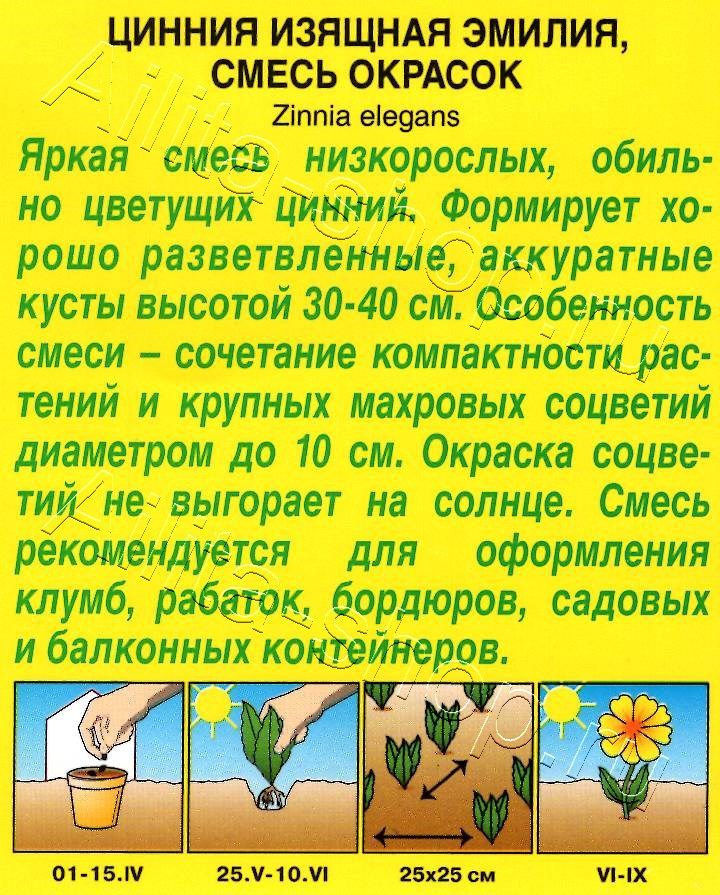 Цинния Эмилия, смесь окрасок 0,3г