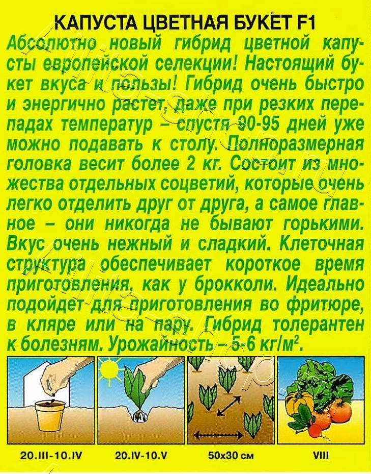 Капуста цветная Букет F1 5шт