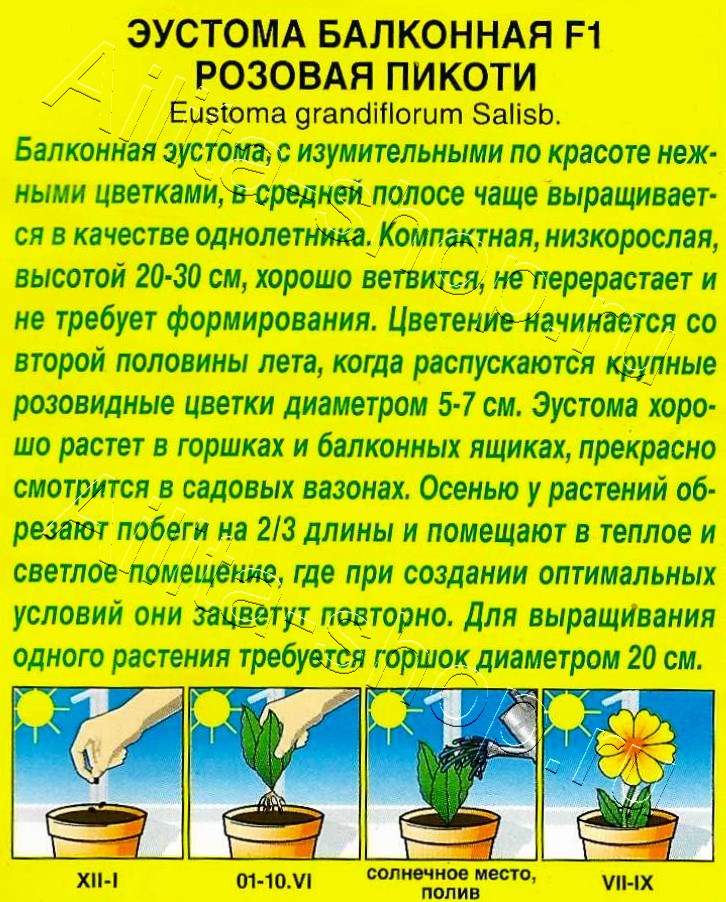 Эустома Балконная F1 розовая пикоти 5шт