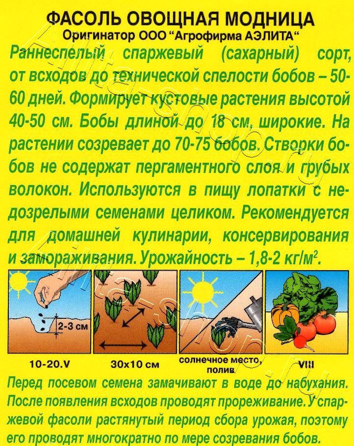 Фасоль овощная Модница 5г