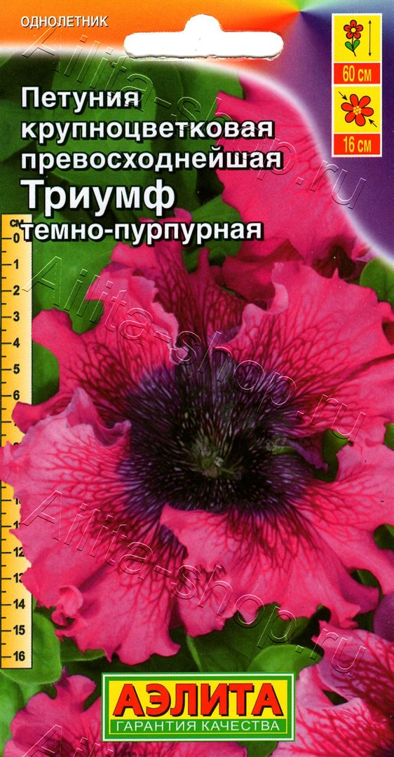 Петуния Триумф темно-пурпурная крупноцветковая 7шт