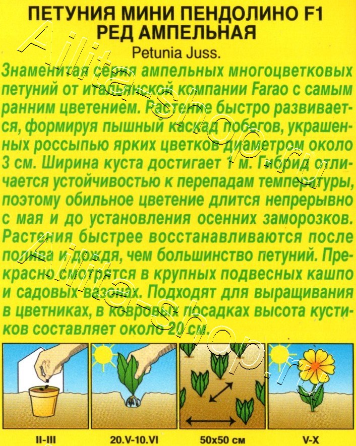 Петуния мини Пендолино F1 ред ампельная 5шт