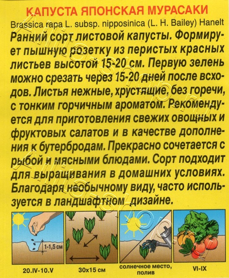 Капуста японская Мурасаки 0,5г