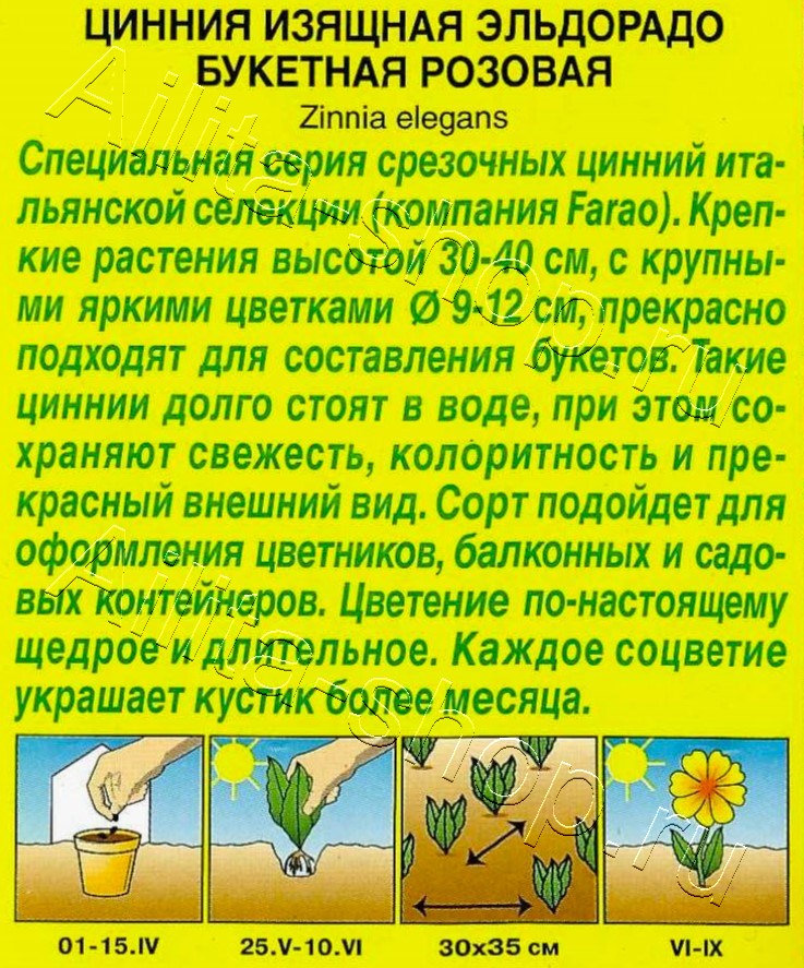 Цинния Эльдорадо букетная розовая 12шт