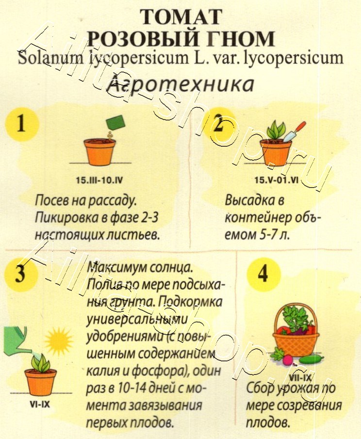 Томат Розовый гном 10шт
