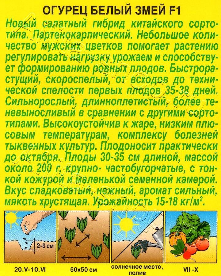 Огурец китайский Белый змей F1 10шт