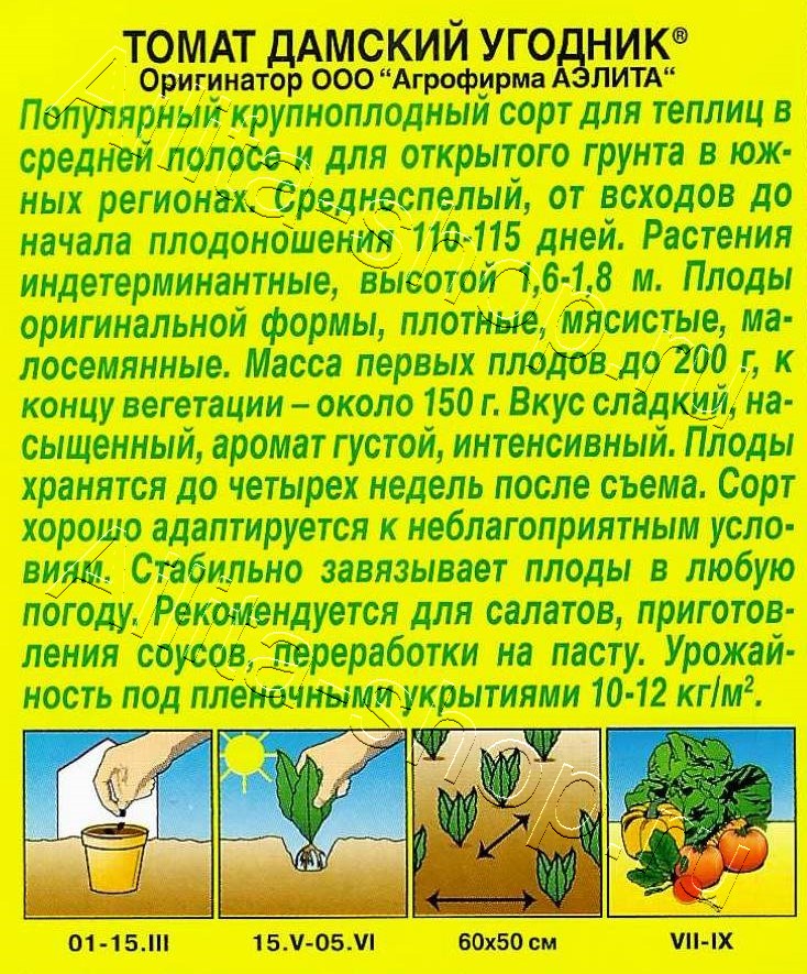 Томат Дамский угодник 20шт