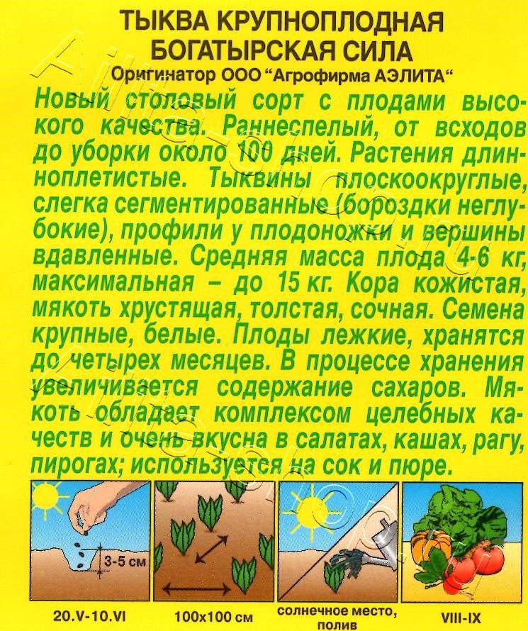 Тыква крупноплодная Богатырская сила 1г