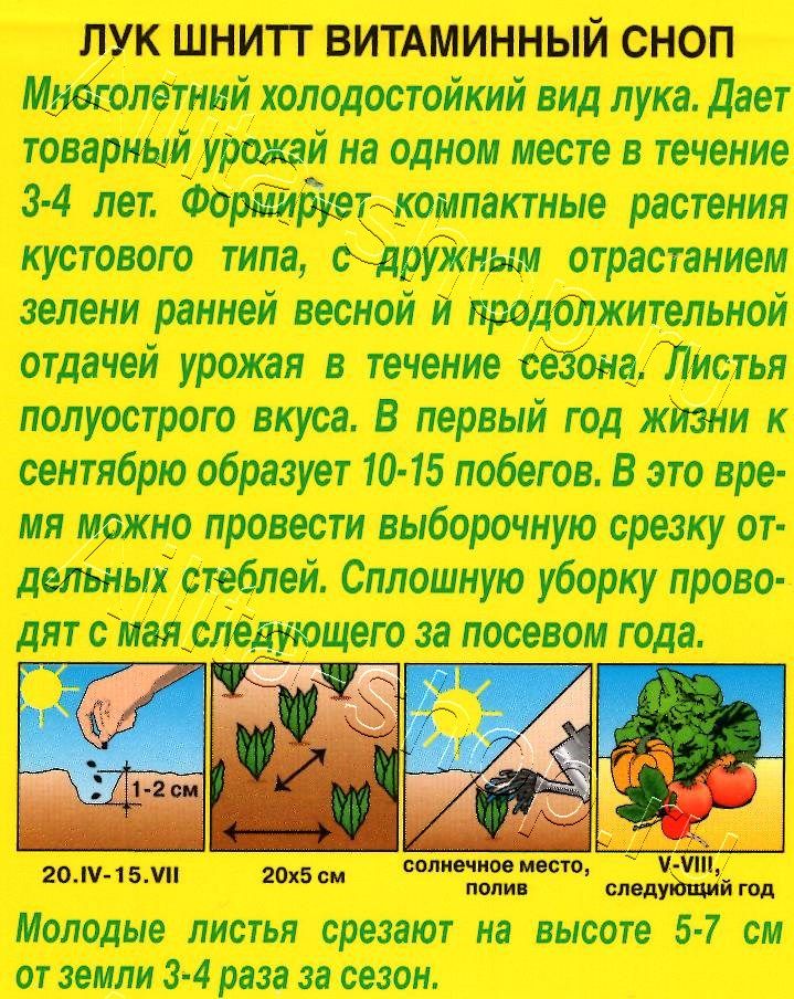 Лук шнитт Витаминный сноп 0,5г