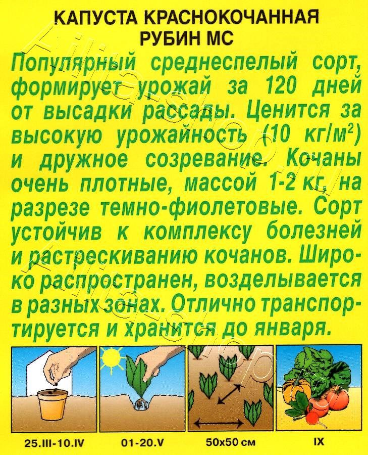 Капуста к/к Рубин МС 0,3г