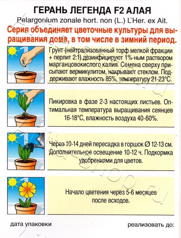 Герань Легенда F2 алая 5шт