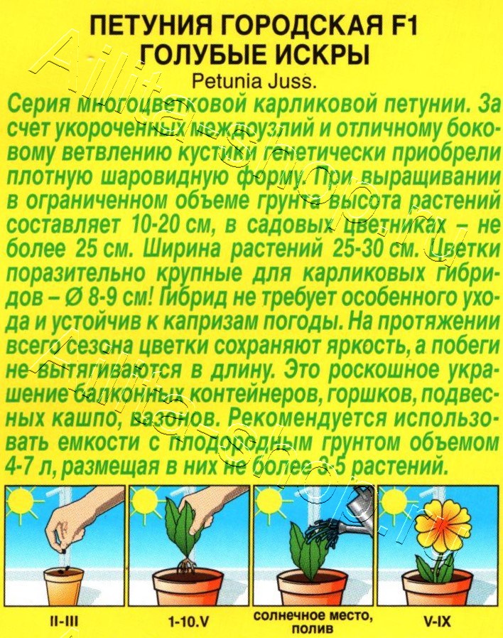 Петуния Городская F1 голубые искры 7шт