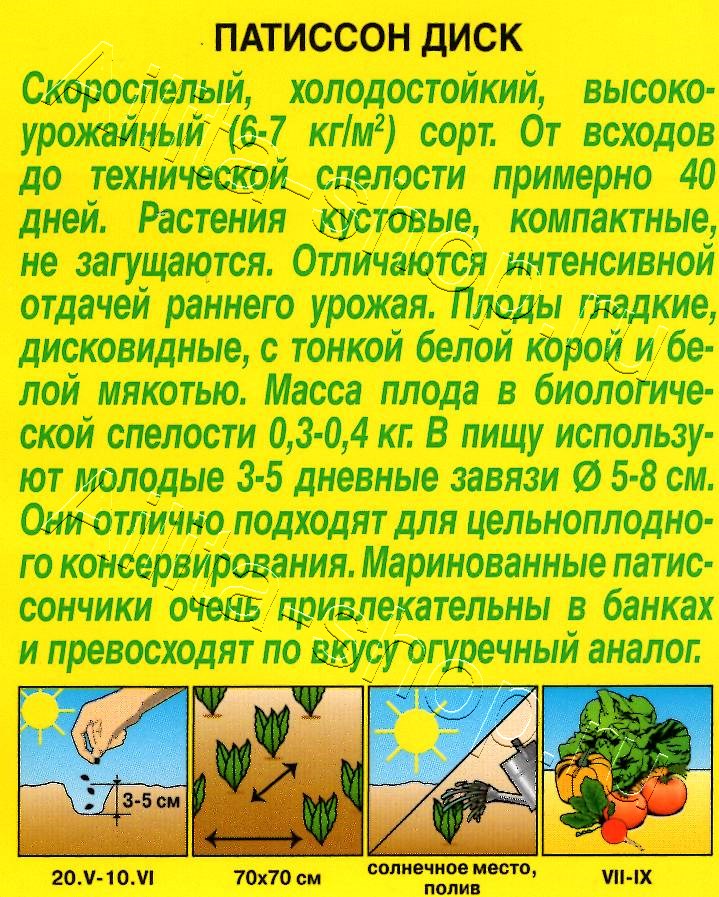 Патиссон Диск 1г