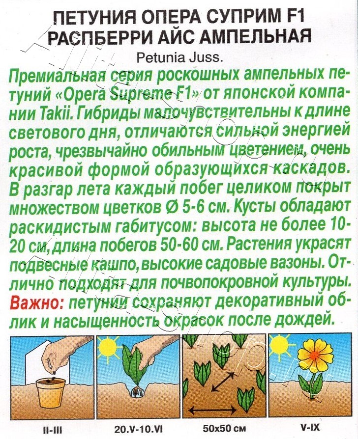 Петуния Опера суприм F1 распберри айс ампельная 4шт